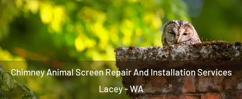  Chimney Animal Screen Repair And Installation Services Lacey - WA