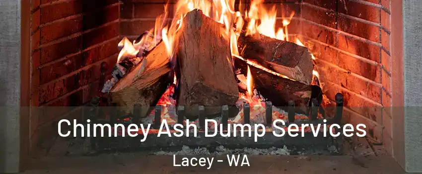  Chimney Ash Dump Services Lacey - WA