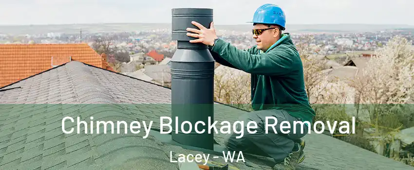  Chimney Blockage Removal Lacey - WA