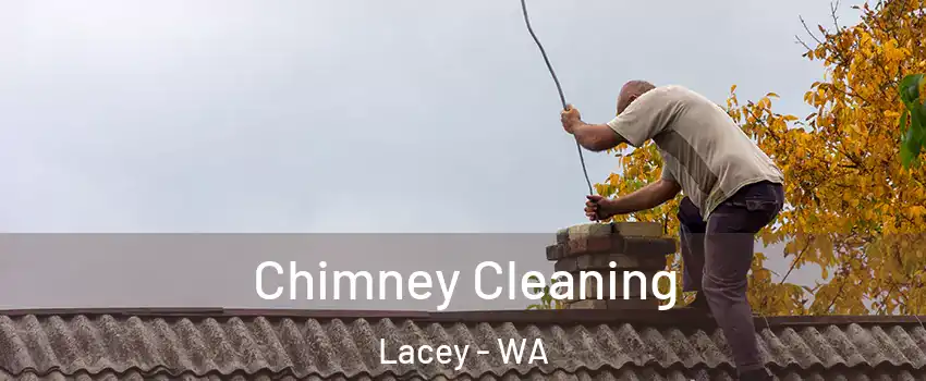  Chimney Cleaning Lacey - WA
