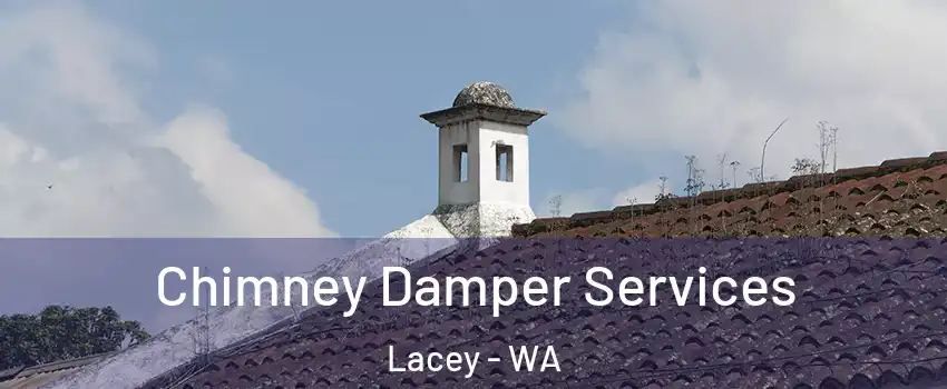 Chimney Damper Services Lacey - WA