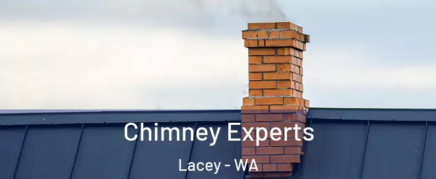  Chimney Experts Lacey - WA