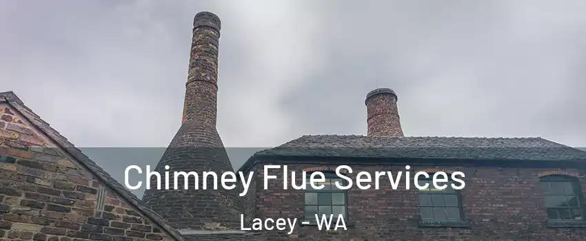  Chimney Flue Services Lacey - WA