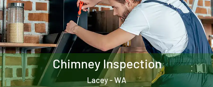  Chimney Inspection Lacey - WA