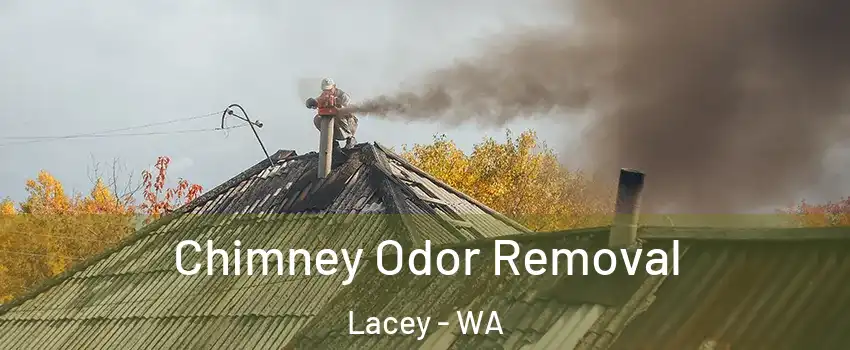  Chimney Odor Removal Lacey - WA
