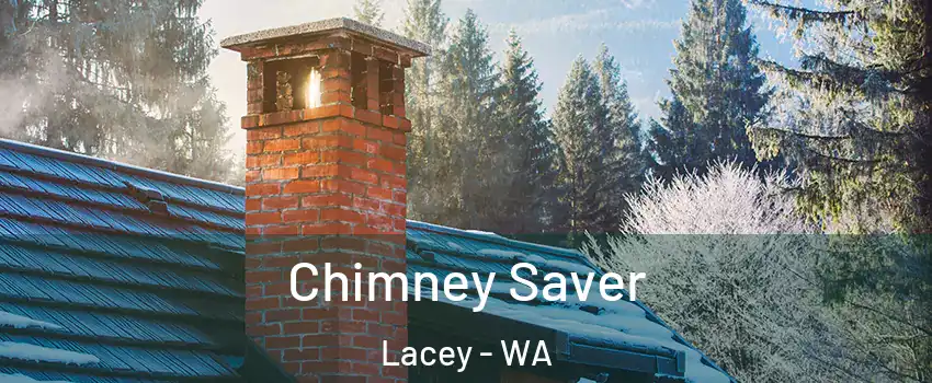  Chimney Saver Lacey - WA