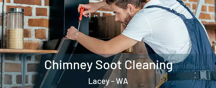  Chimney Soot Cleaning Lacey - WA