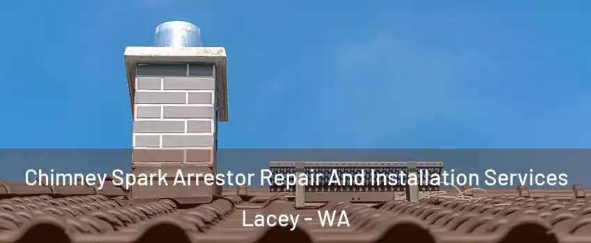  Chimney Spark Arrestor Repair And Installation Services Lacey - WA