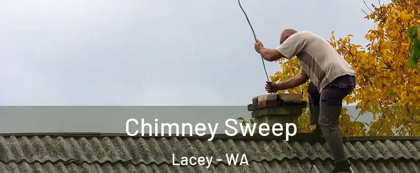  Chimney Sweep Lacey - WA