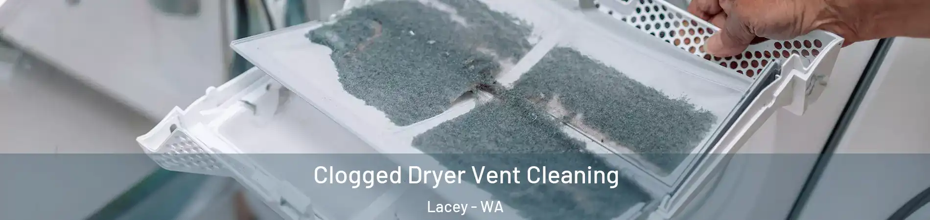  Clogged Dryer Vent Cleaning Lacey - WA