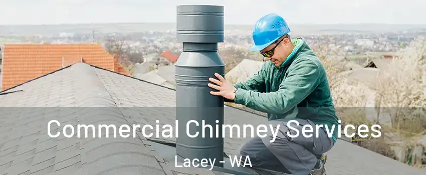  Commercial Chimney Services Lacey - WA