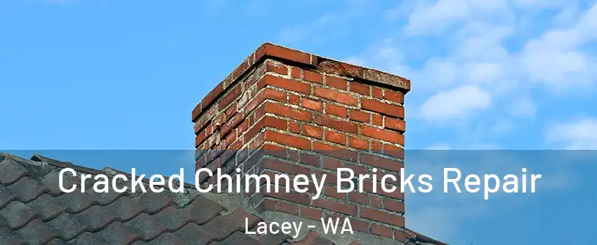  Cracked Chimney Bricks Repair Lacey - WA