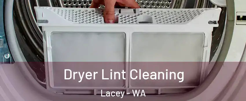  Dryer Lint Cleaning Lacey - WA