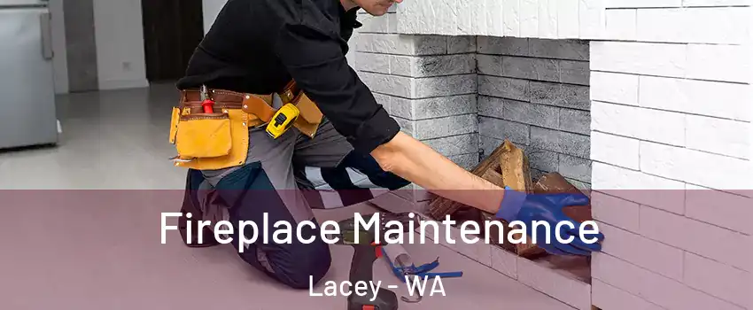  Fireplace Maintenance Lacey - WA