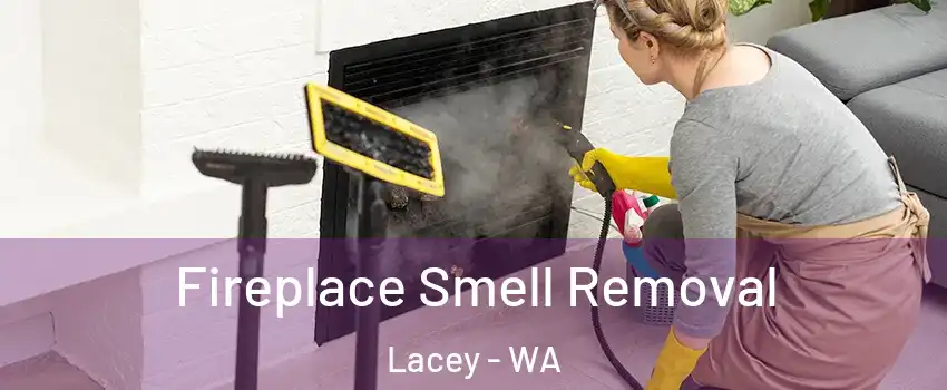  Fireplace Smell Removal Lacey - WA