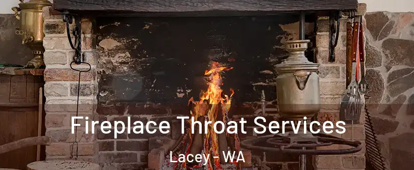  Fireplace Throat Services Lacey - WA