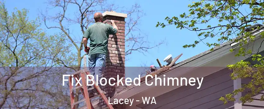  Fix Blocked Chimney Lacey - WA