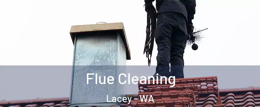  Flue Cleaning Lacey - WA