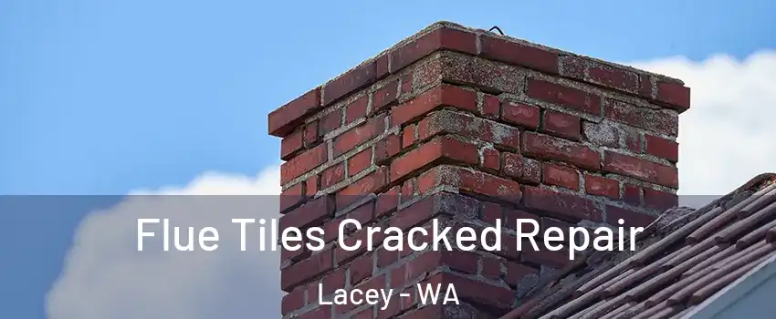  Flue Tiles Cracked Repair Lacey - WA