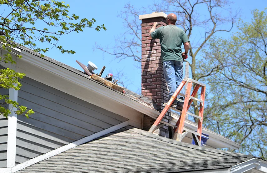 Chimney & Fireplace Inspections Services in Lacey, WA