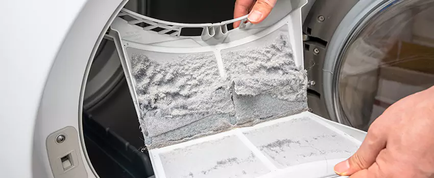 Best Dryer Lint Removal Company in Lacey, Washington