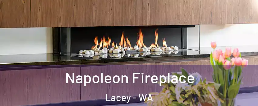  Napoleon Fireplace Lacey - WA